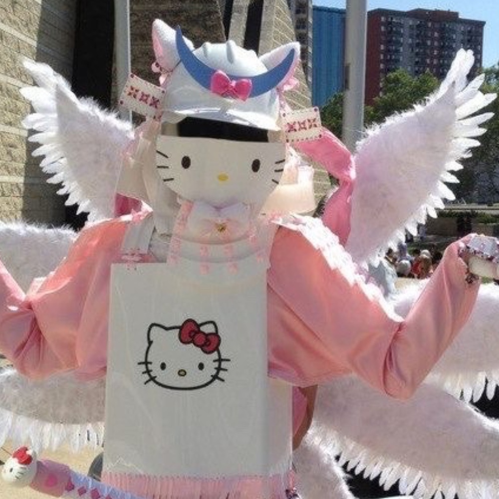 Meet your Posher, Charlotte